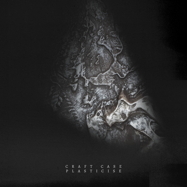Plasticise cover art