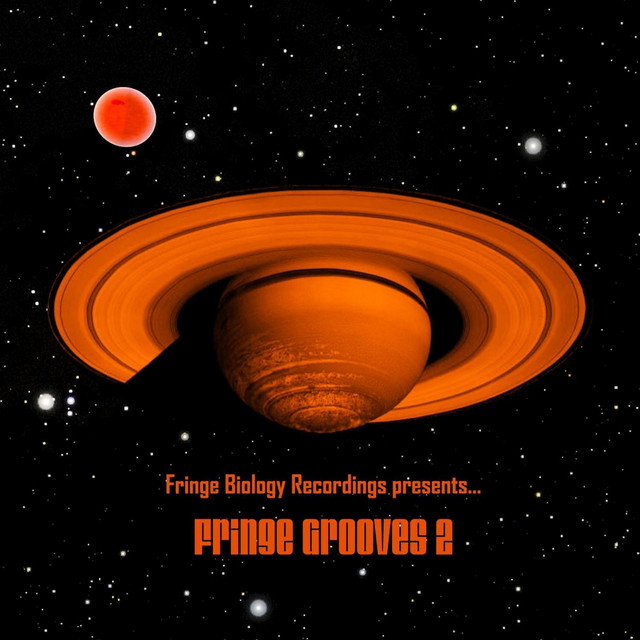Fringe Grooves 2 cover