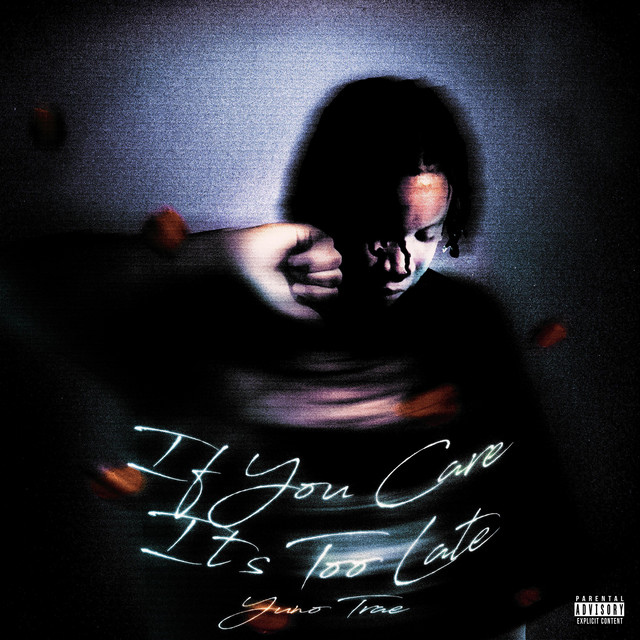 IF YOU CARE IT'S TOO LATE cover art
