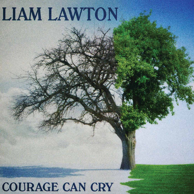 Courage Can Cry cover art