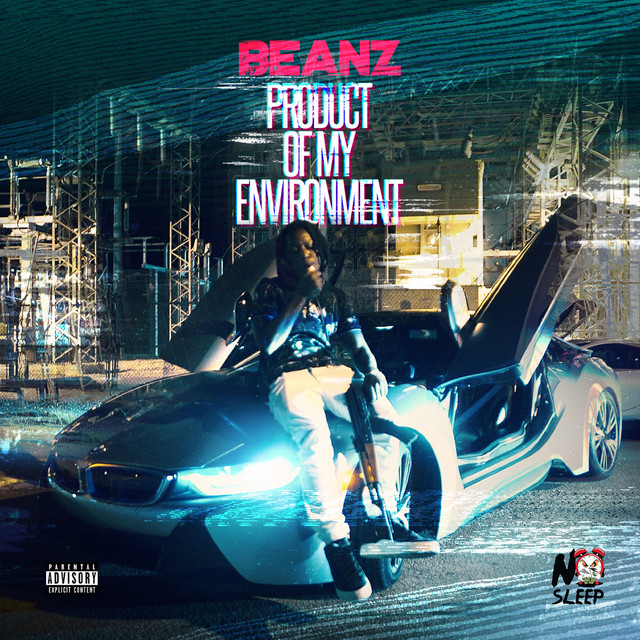 Product of My Environment cover art