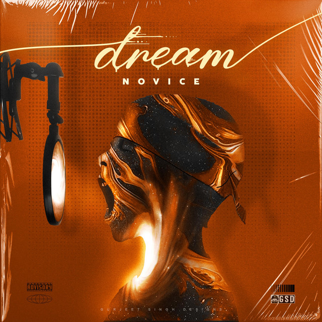 Dream - Single by Novicemusic | Spotify