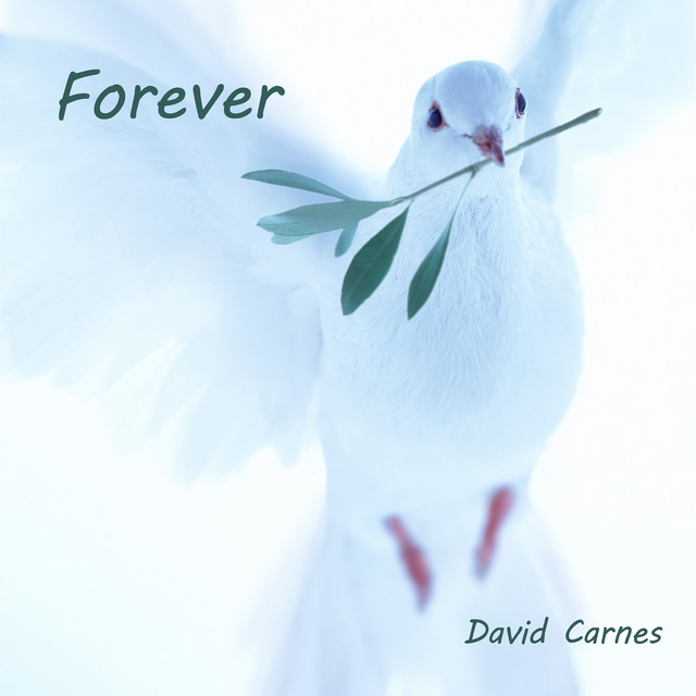 Forever cover art
