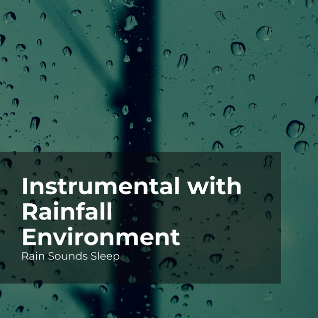 Instrumental with Rainfall Environment - Album by Rain Sounds Sleep ...