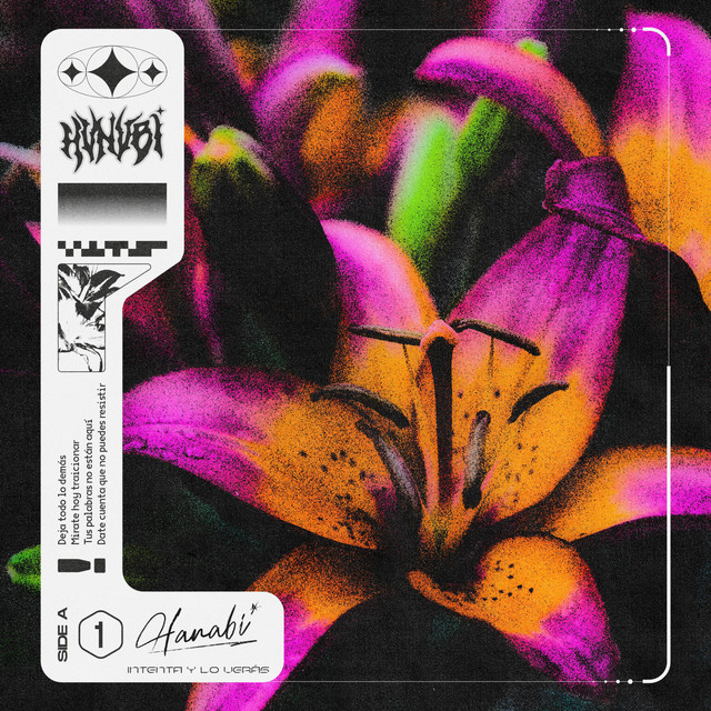 Intenta y lo verás cover art