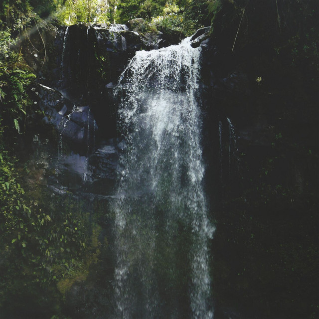 Falling Into a Dream cover art