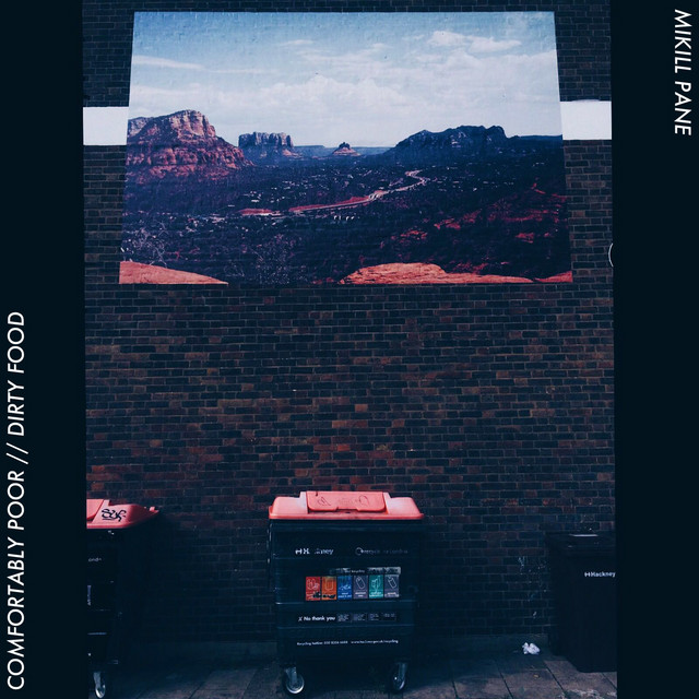 Comfortably Poor cover