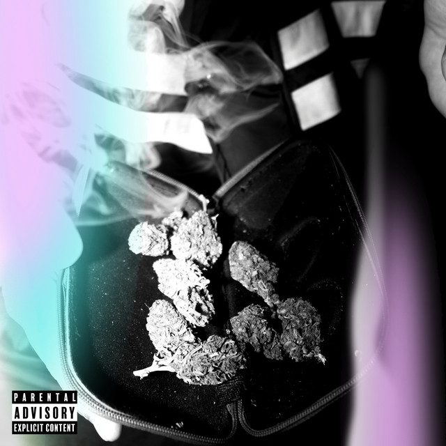 Skywalker cover art