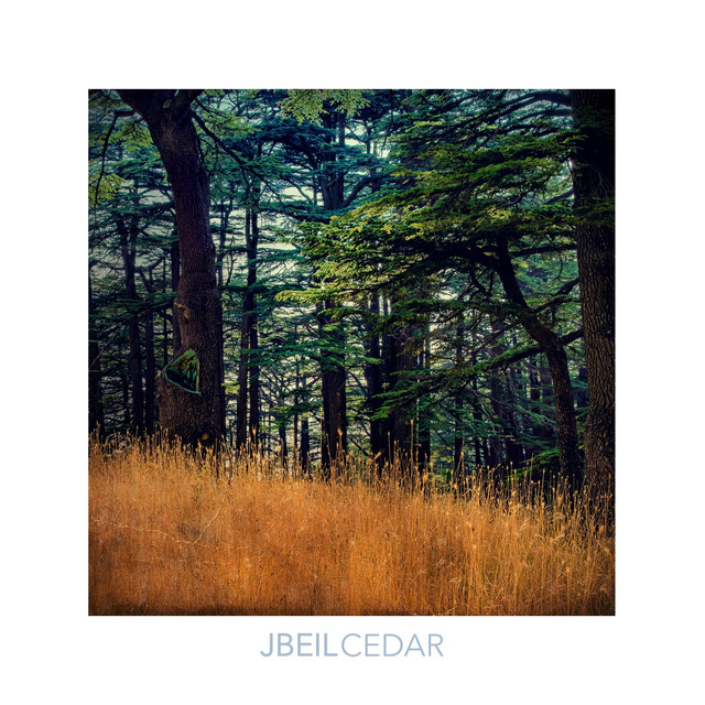 Cedar cover art