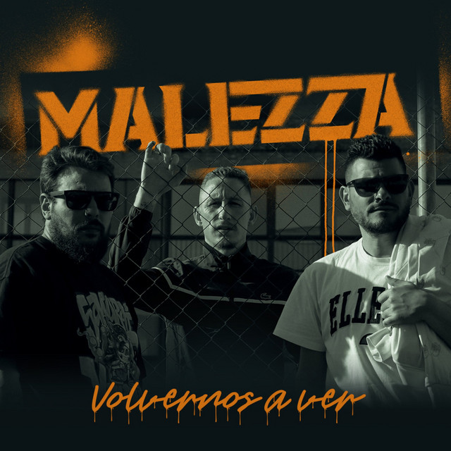Volvernos a ver