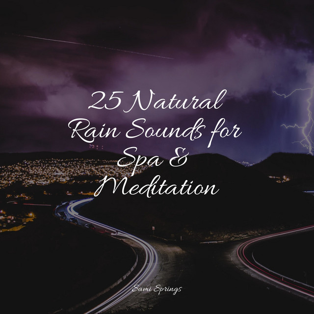 25 Natural Rain Sounds for Spa & Meditation - Album by Rain Sounds ...