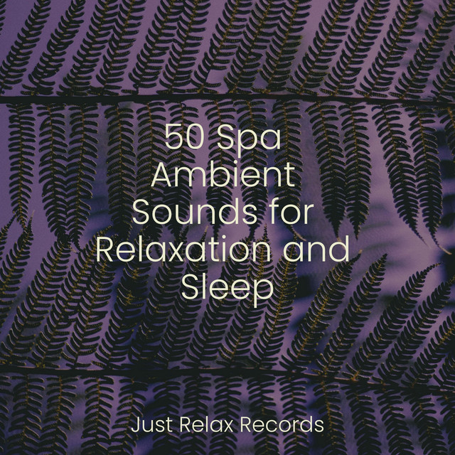 50 Spa Ambient Sounds for Relaxation and Sleep - Album by Happy Baby ...
