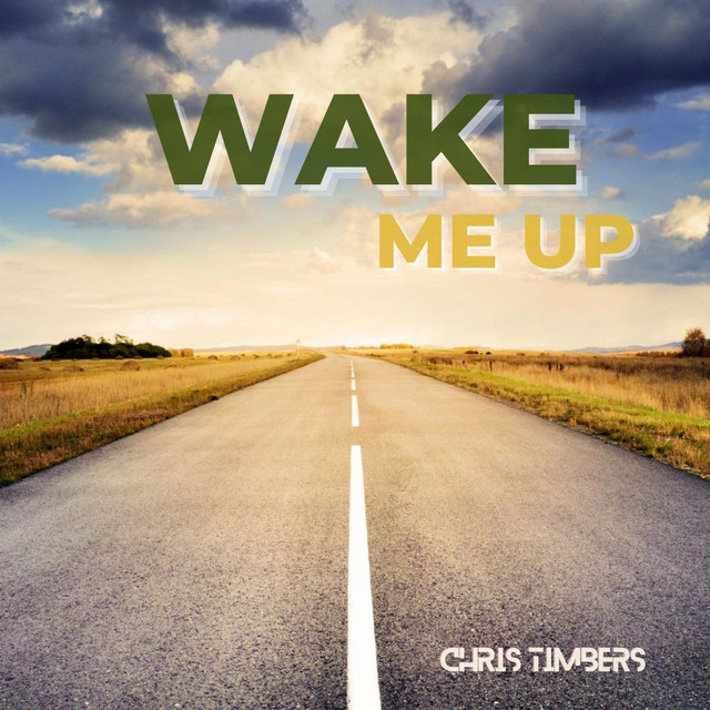 Wake Me Up cover