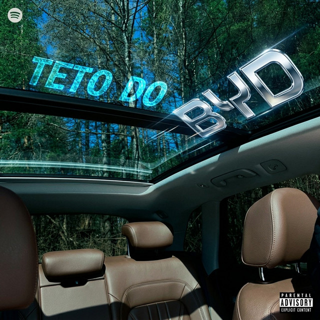 Teto Do BYD