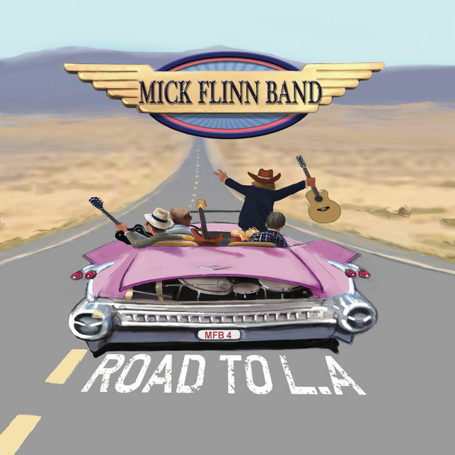 Mick Flinn Band