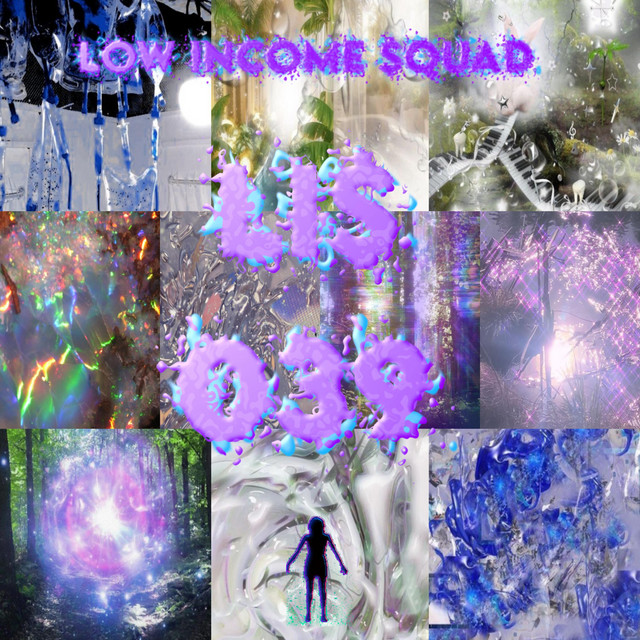 LIS039 cover