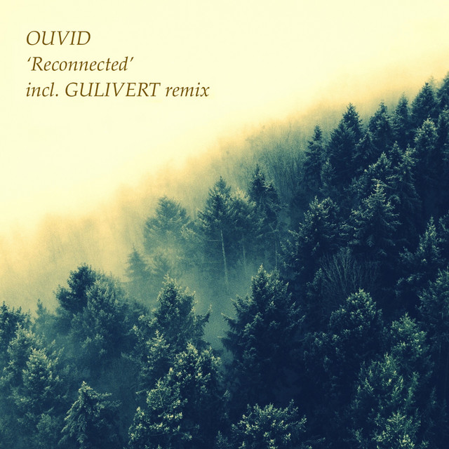Reconnected 1 - Gulivert Remix cover art