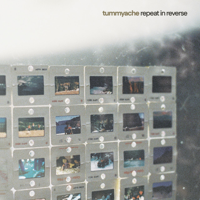 Repeat In Reverse cover