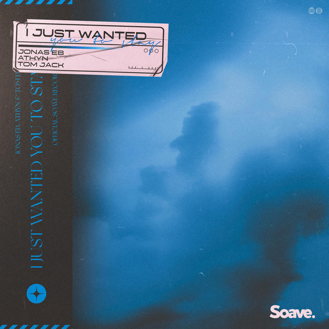 I Just Wanted You To Stay cover