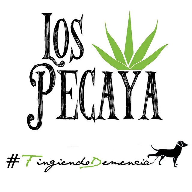 #Fingiendo Demencia cover art