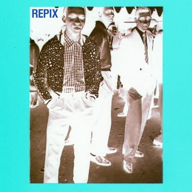 Repix cover