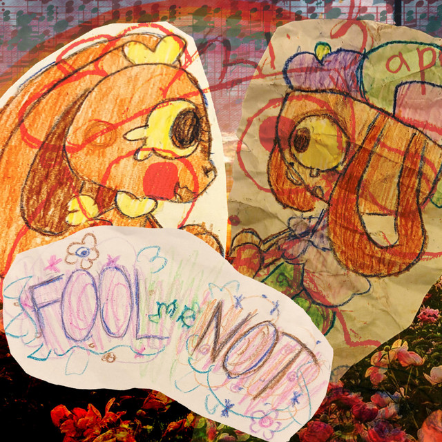 FOOL-ME-NOT cover art