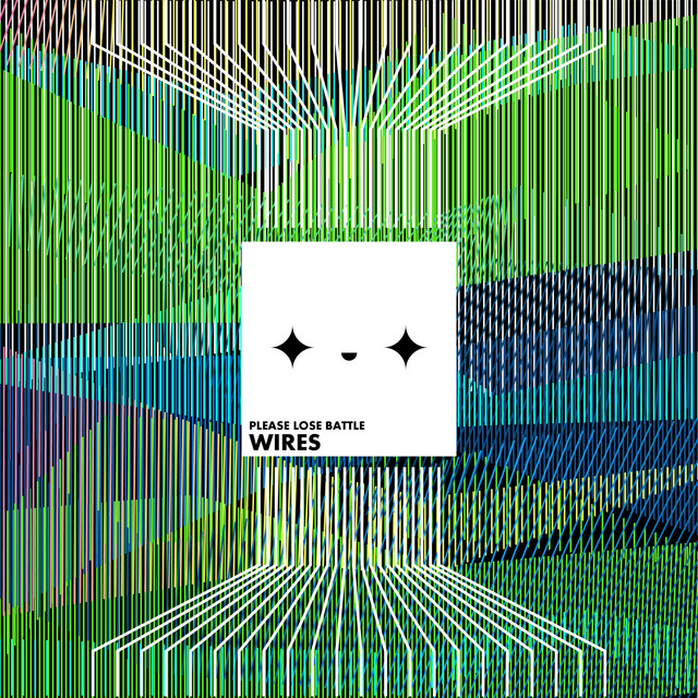 Wires cover