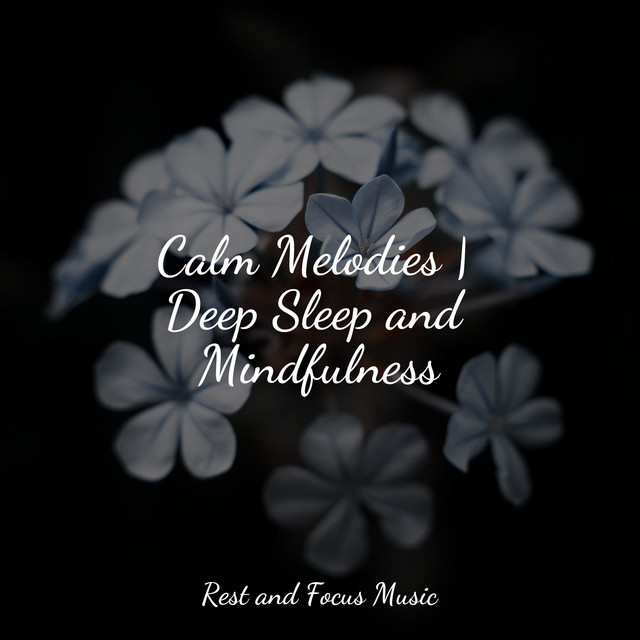 Calm Melodies | Deep Sleep and Mindfulness - Album by Massage | Spotify
