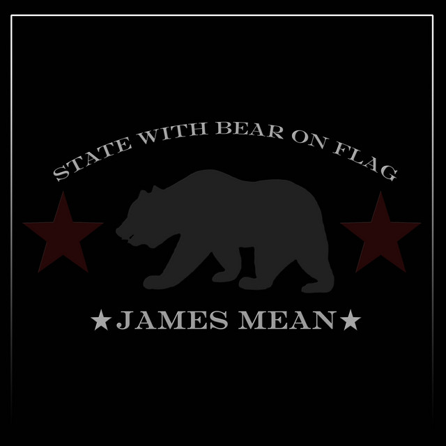 State with Bear on Flag cover