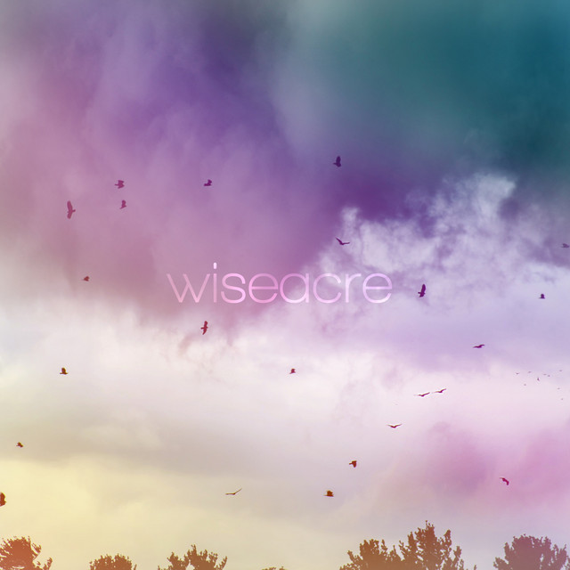 Wiseacre cover art