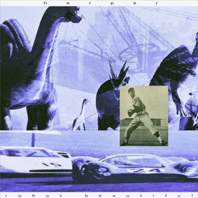 Robot Beautiful cover art