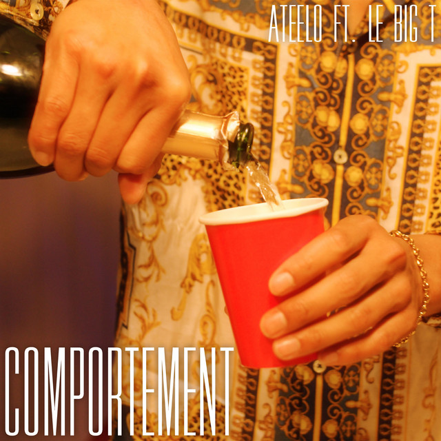 Comportement cover art