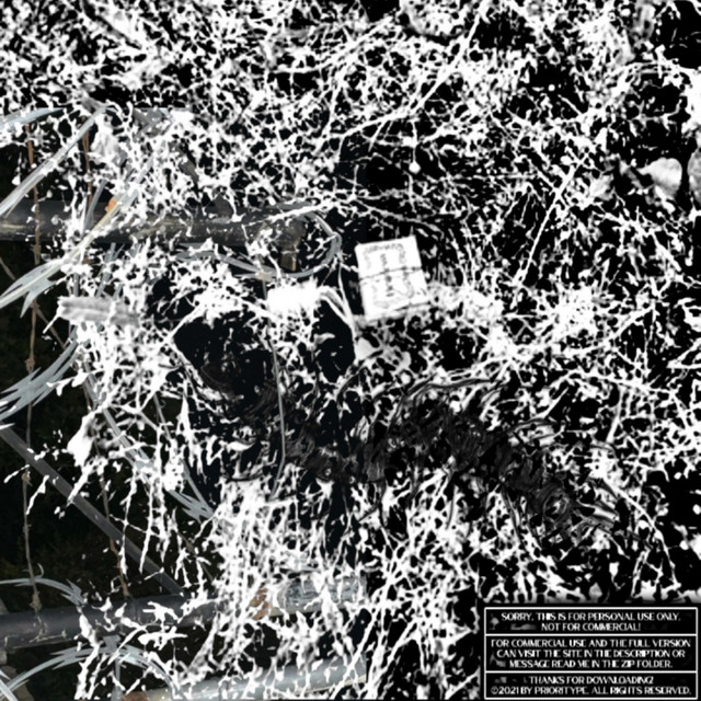 Bass Notes cover art