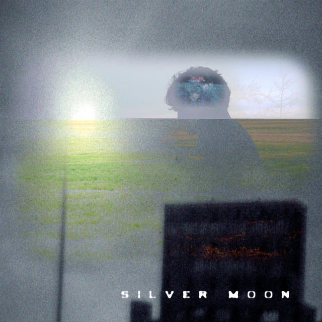 Silver Moon