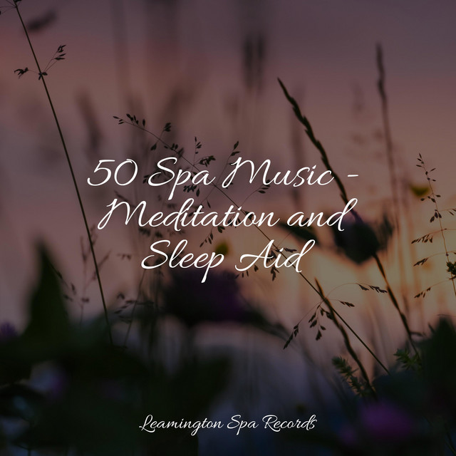 50 Spa Music - Meditation and Sleep Aid - Album by Zen | Spotify