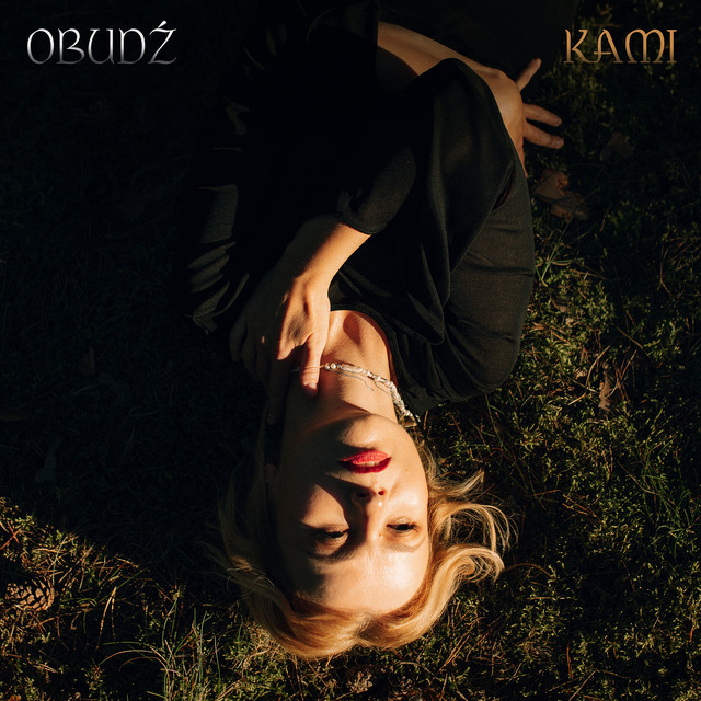Obudź cover art