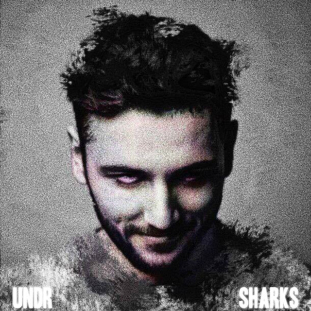 Sharks cover art