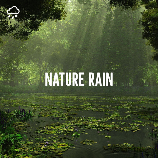 Nature Rain