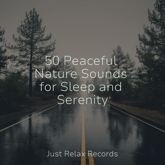 50 Peaceful Nature Sounds for Sleep and Serenity - Album by MÚSICA PARA ...