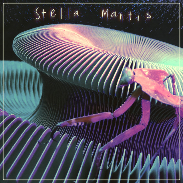 Cover du titre Stella Mantis