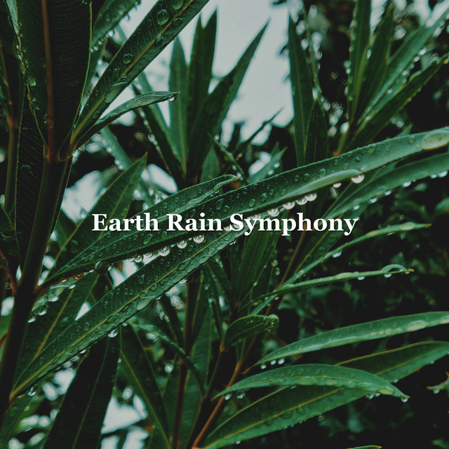 Earth Rain Symphony cover art