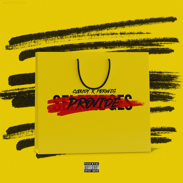 Provide cover art