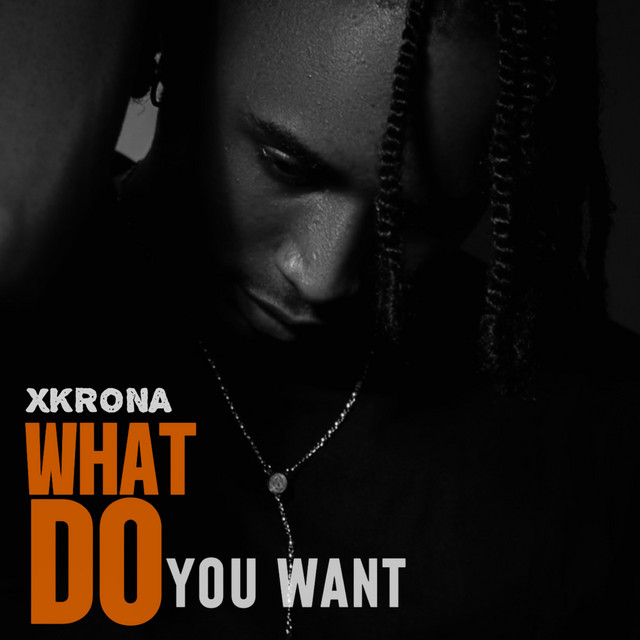 What Do You Want cover art