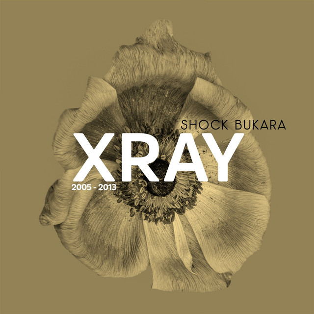 Xray 2005-2013 cover art