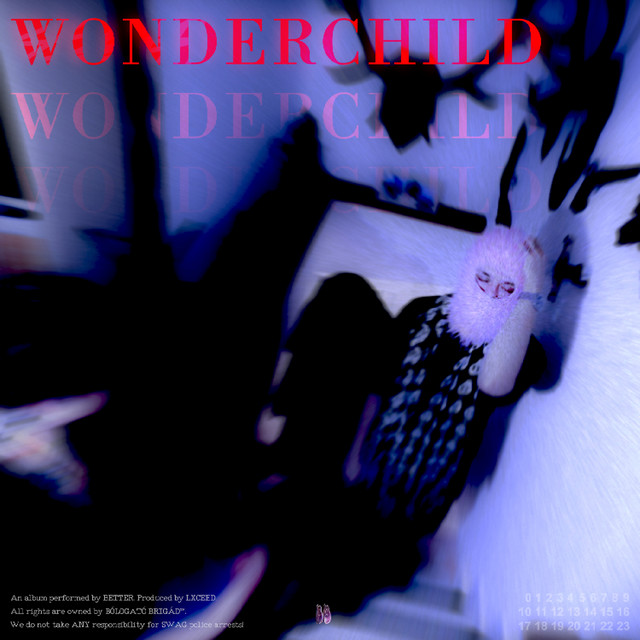 Wonderchild cover art