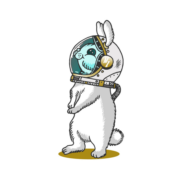 Honey Bunny cover art