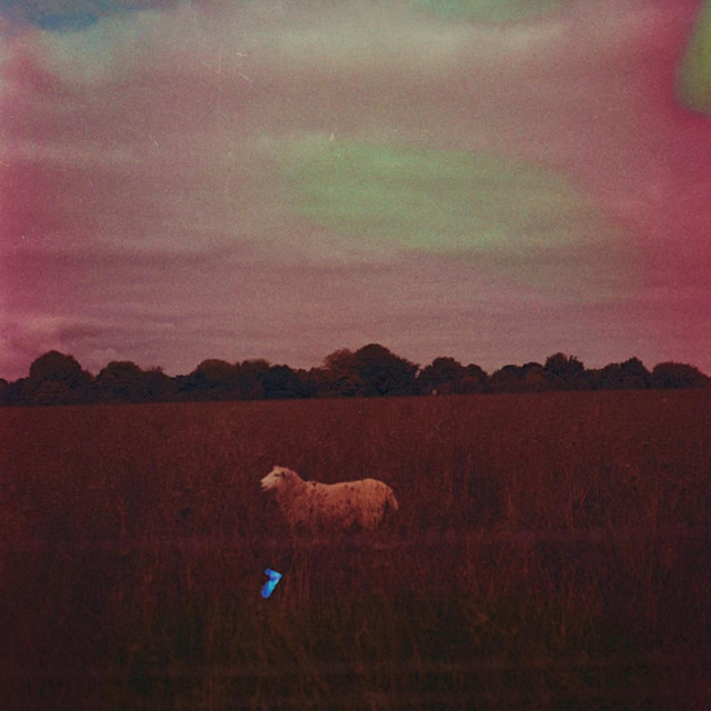 i'm still trying cover art