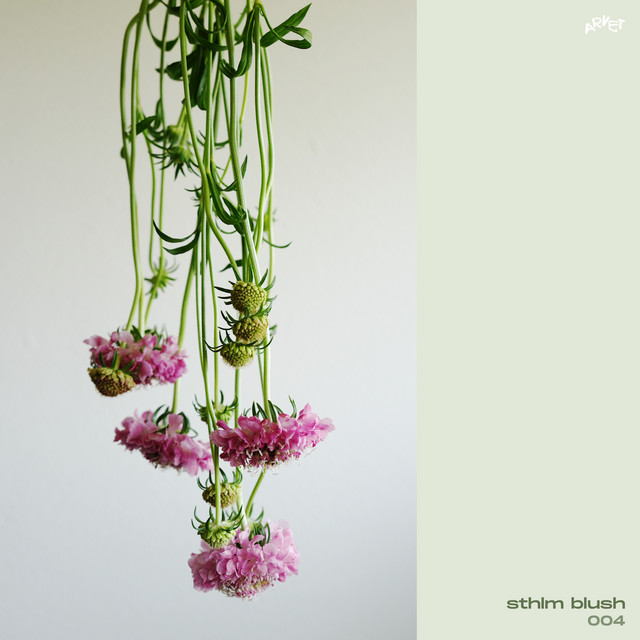 004 cover art