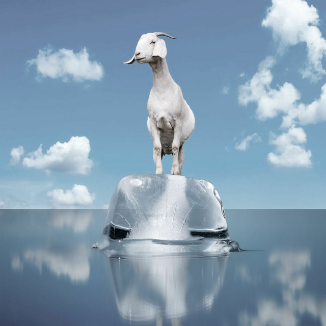 Perpetual Groove cover art