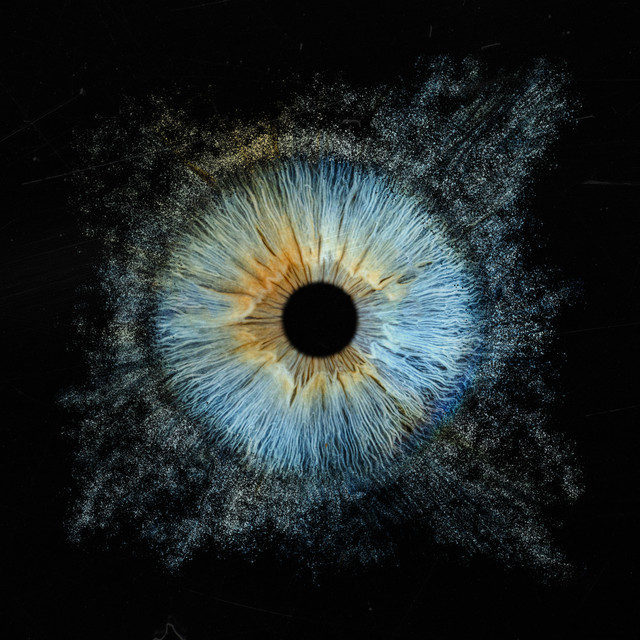 25 cover art